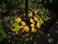 -丹东天桥沟景区