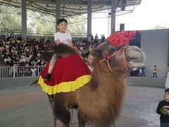 -石家庄市动物园