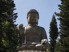 -宝莲禅寺