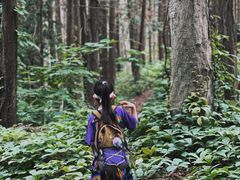 -素山寺森林公园