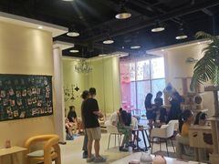 -藏猫猫咖啡主题馆(中央大道店)