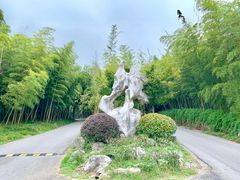 -苏州环秀晓筑养生度假村