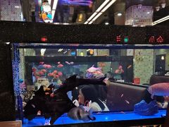 -新辉港式茶餐厅(北栅店)