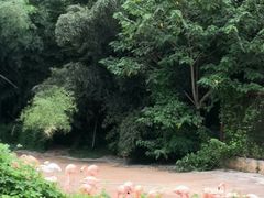 -南昌动物园