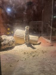 -酷嗒动物文化乐园(cutezoo西溪乐天城店)