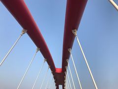 -金鸡山公园