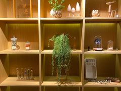 -左悦·艾灸调理·推拿按摩·精油SPA(卓悦汇店)