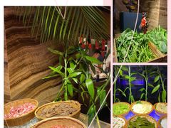 -丽彩天祺酒店-自助餐厅