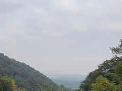 -韬光茶庵