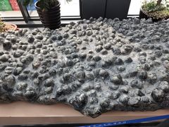 -辽宁古生物博物馆