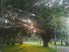 -深圳湾公园(南山区)