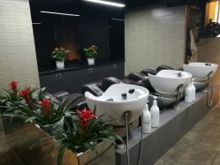 点击看大图 -比尔造型