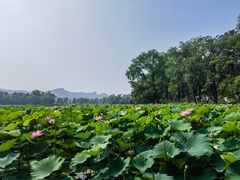 -承德避暑山庄景区
