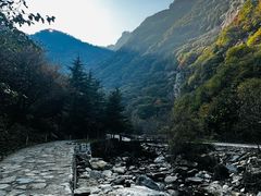 -少华山国家森林公园