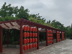 -御林古桑园