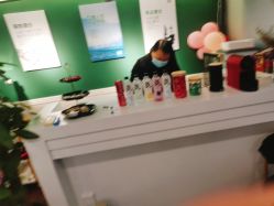 -章光101防脱养发荟