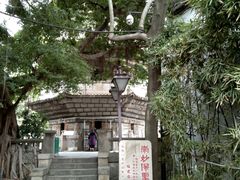 -乌山风景区