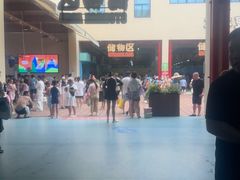 -苏州乐园森林水世界