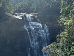 -海南热带雨林国家公园吊罗山景区