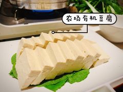 -觅唐MITONG(鸟巢店)
