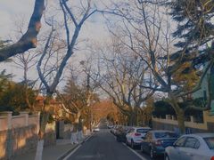 -八大关景区