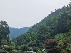 -桃花岭景区