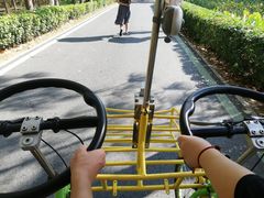 -合肥滨湖国家森林公园