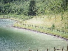 -武陵山森林公园