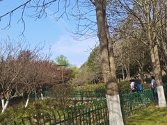 -幕燕滨江·长江观音景区