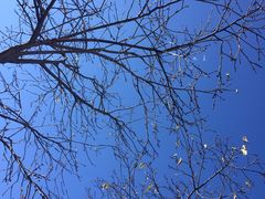 -乡绅本色白家厨坊