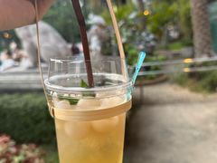 -清迈夜间动物园