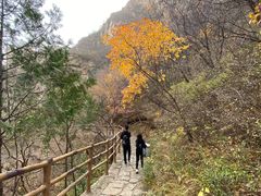 -黑龙潭风景区