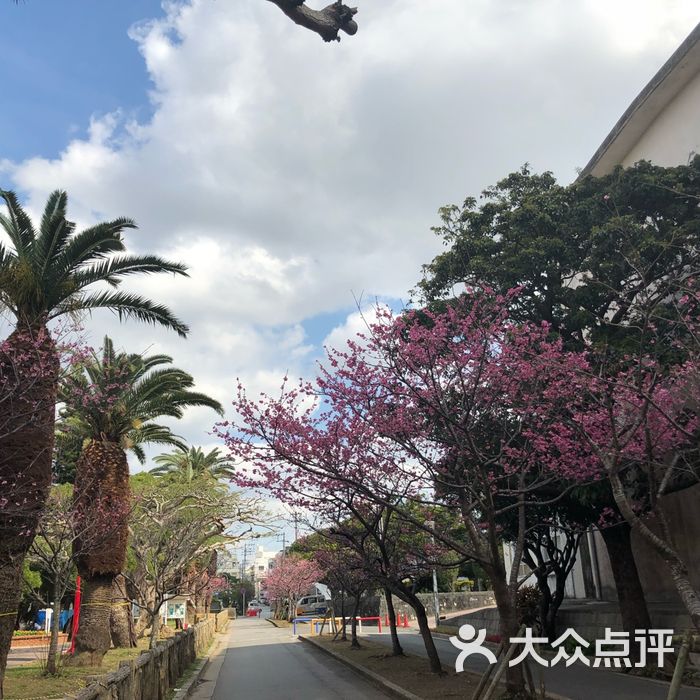 与仪公园图片-北京公园-大众点评网