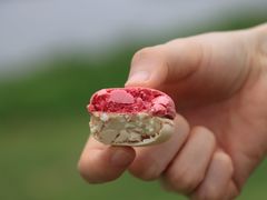 -PAUL LAFAYET 法式甜品(深圳湾万象城店)