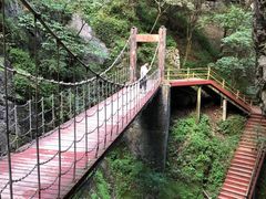 -牛背梁国家森林公园
