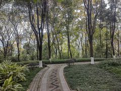 -重庆彩云湖湿地公园