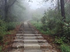 -缥缈峰景区