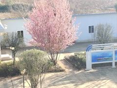 -瑶舍头疗·瑶浴·芳香热石SPA(五洲国际店)
