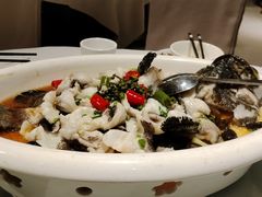 -陶缘一号·四季缘·老字号顺德菜·户外婚礼家宴(西滘店)