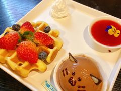 -猫小院猫主题咖啡厅(北锣店)