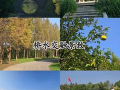 -梁鸿国家湿地公园