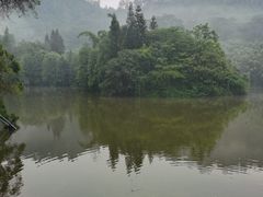 -滴水岩森林公园