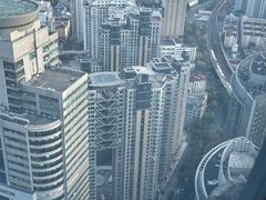 -上海龙之梦万丽酒店