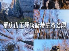 -山王坪喀斯特国家生态公园