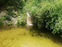 -王顺山国家森林公园