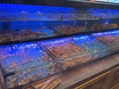 -透明思烤·自助烤肉海鲜火锅(东部星悦天地店)