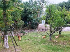 景观位-呼吸森林·生态农庄农家乐私房菜