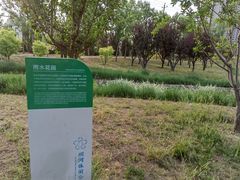-坝河休闲公园