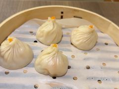 -苏小柳点心·手作小笼包(浦东嘉里城分院)
