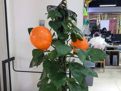 -诺亚雅思托福北郊中心(凤城路店)